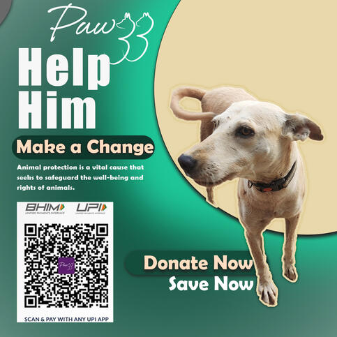 Pawzz Social Media Post